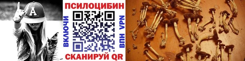 где найти   Тольятти  Галлюциногенные грибы GOLDEN TEACHER 